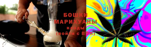 прущие грибы Данков