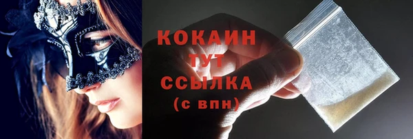 mdpv Протвино