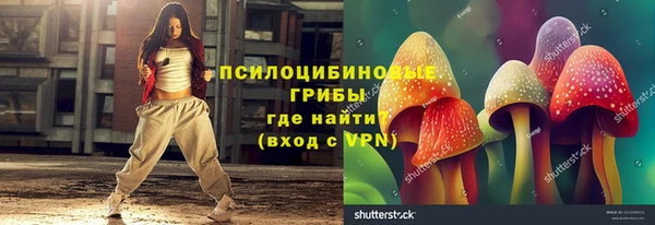 mdpv Протвино
